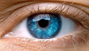 Oftalmologia Retina e Vítreo